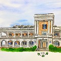 Alpha Phi